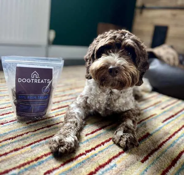 DOGTREATS Fish Dog Treat