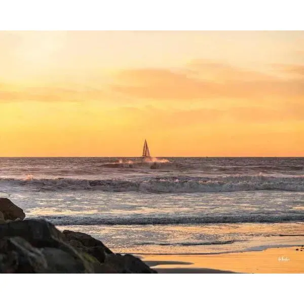 Sunset Sail Coastal Wall Art Indoor Outdoor Canvas