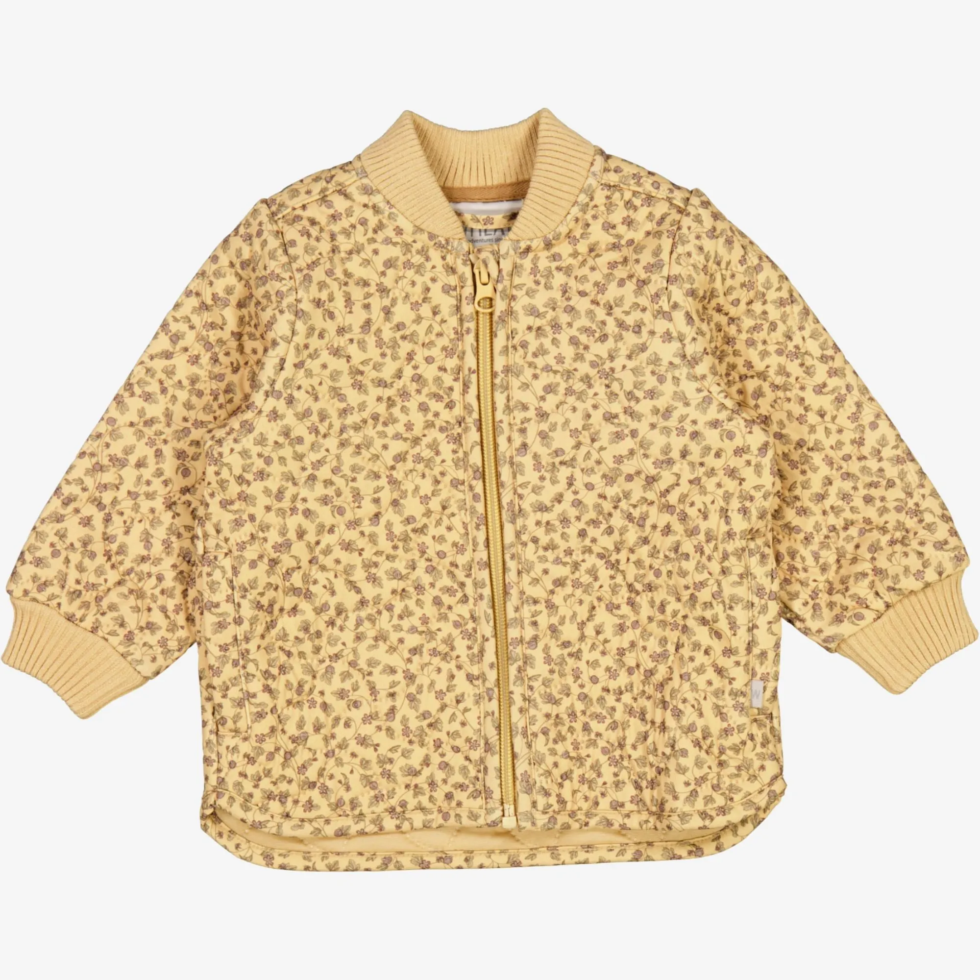 Thermo Jacket Loui | Baby - gooseberry wine