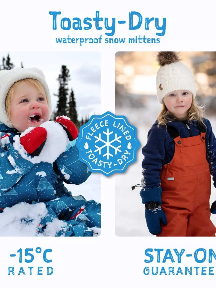 Toasty-Dry Waterproof Snow Mitten: Wildberry